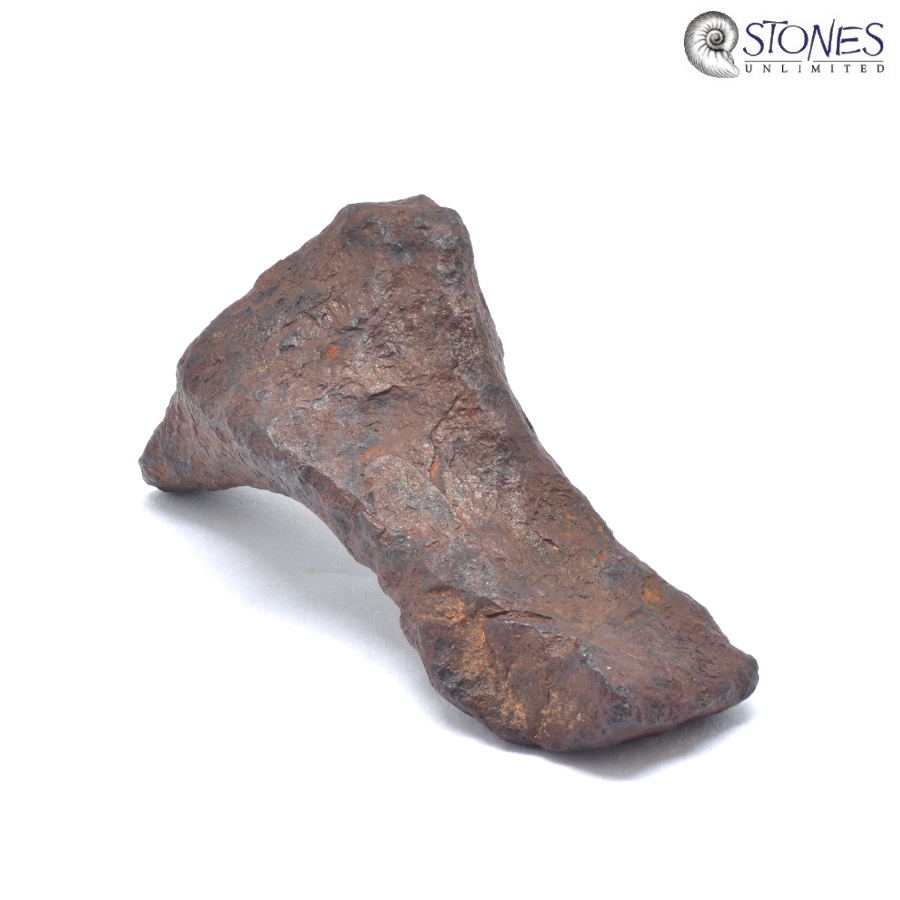 Mundrabilla-Meteorit 15,58 Gr.
