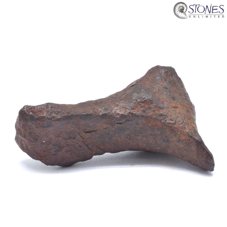 Mundrabilla-Meteorit 15,58 Gr.