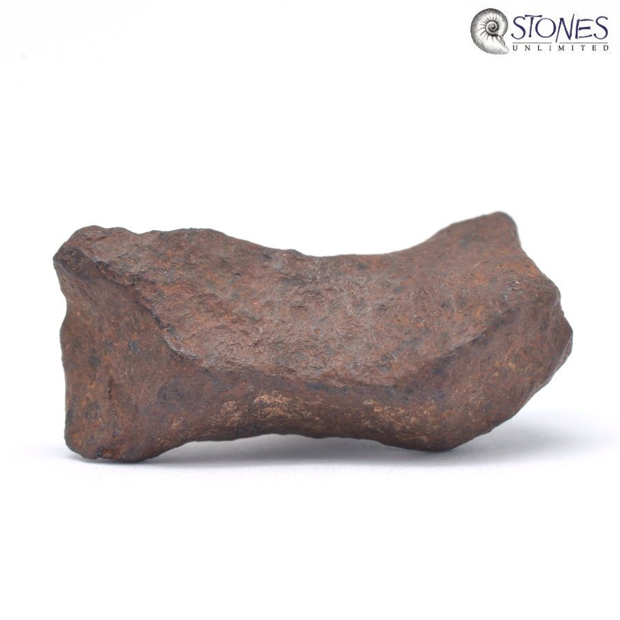 Mundrabilla Meteorit 18,5 Gr.